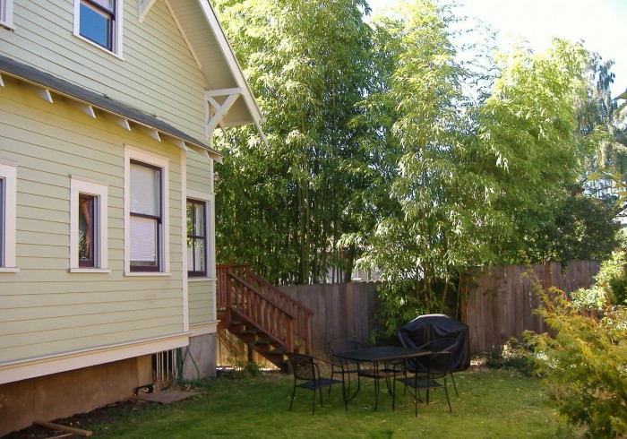Bluebird Guesthouse — photo 48 of 60