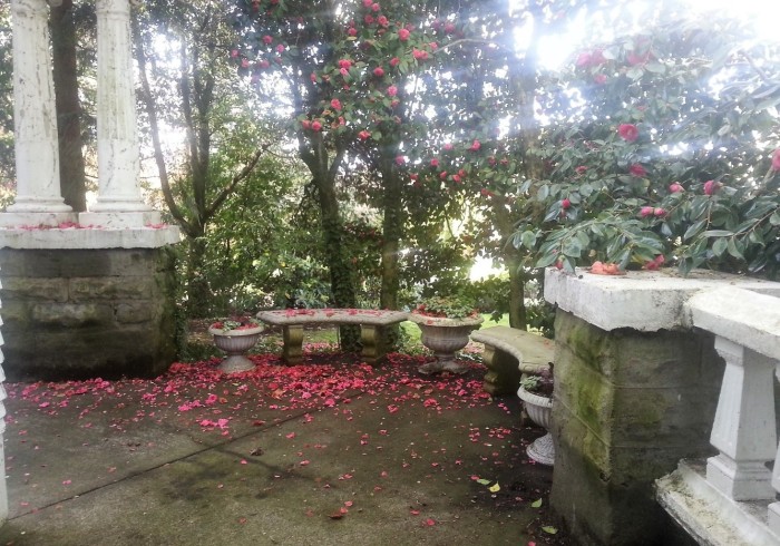 A serene outdoor seating area surrounded by trees and flowers.